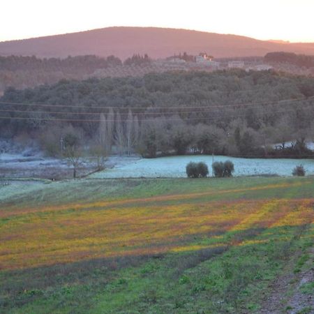 Podere Ficareto Farm Ancaiano Exterior foto